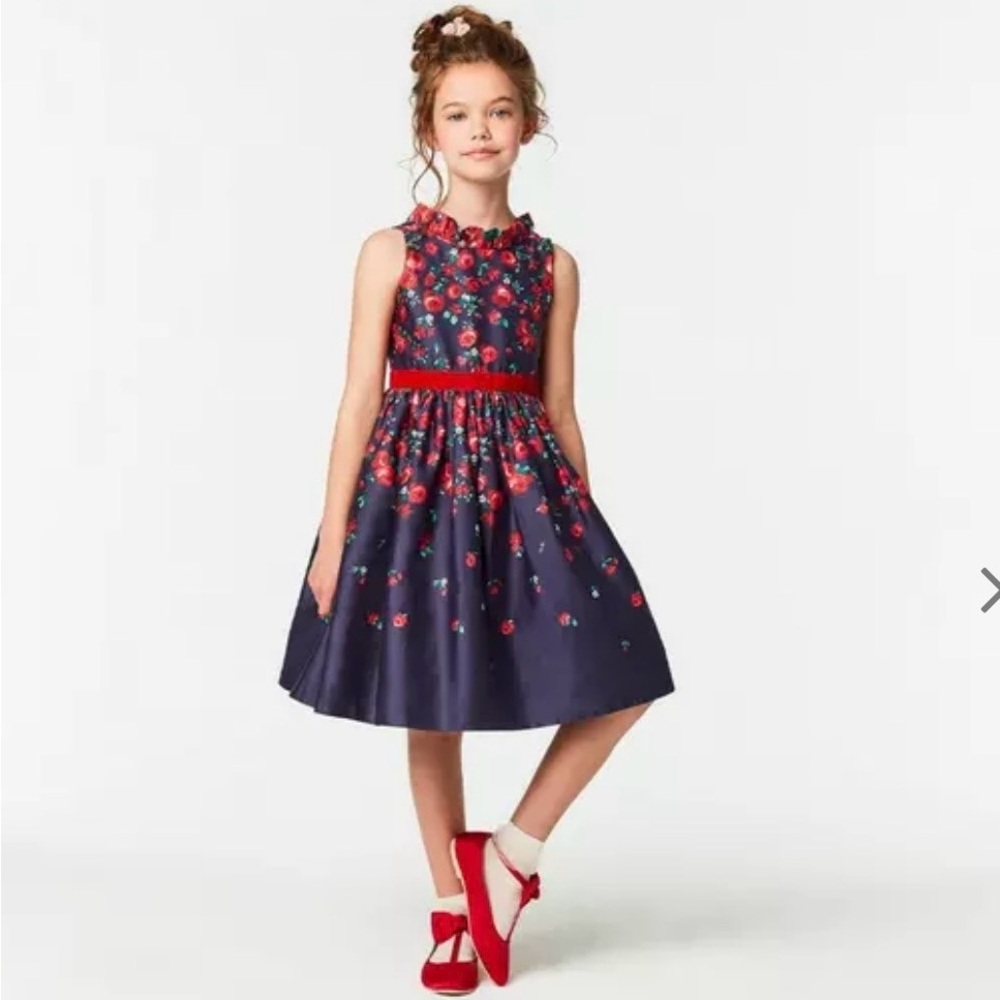 Floral Janie and Jack American Girls Sleeveless Dress with Red Rose Accents - Picture 2 of 7